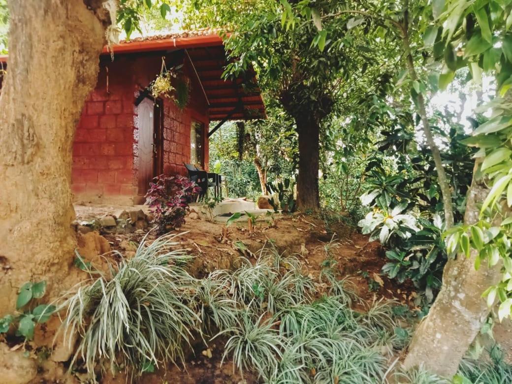 Edgestay Mudigere Exterior foto
